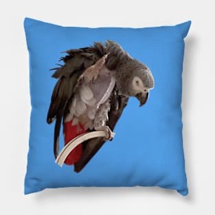 Einstein African Grey Parrot Waving, Bare Chest Pillow