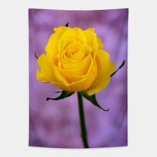 Single Yellow Rose Tapestry
