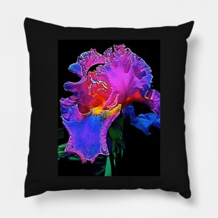 Iris 3 Pillow