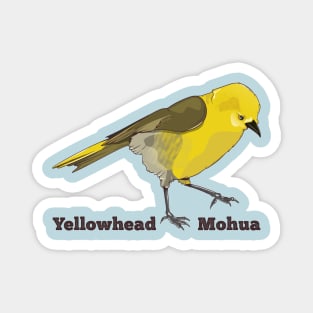 Mohua Yellowhead Magnet