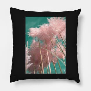 Pampas Grass Pink Wall Art Pillow