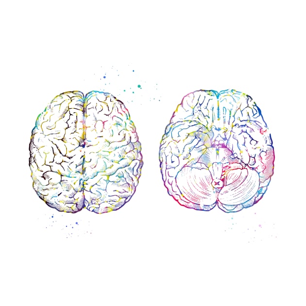 Human brain scheme by erzebeth