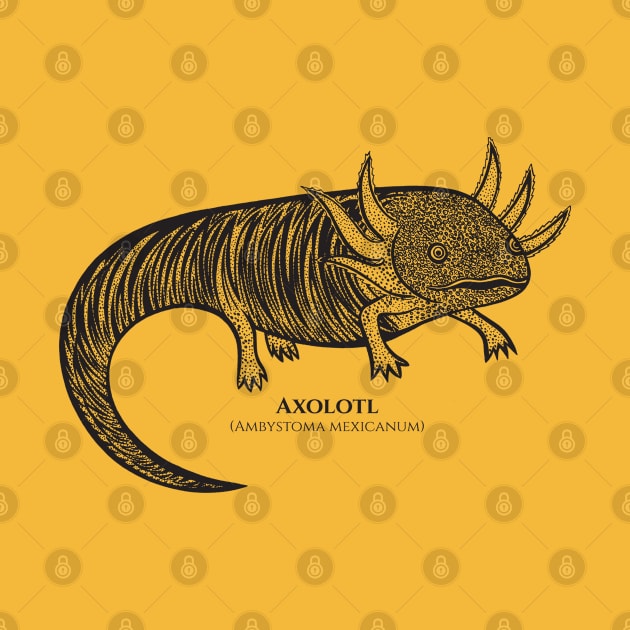 Axolotl with Common and Scientific Names - cool detailed animal design by Green Paladin