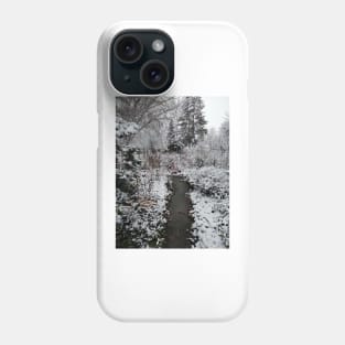 winter in the garden Phone Case