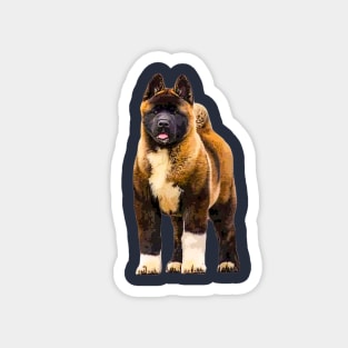 Akita Puppy Dog Akita Inu Love Magnet