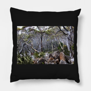 Forrest in the fog Pillow