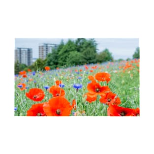 Urban poppies and cornflowers T-Shirt