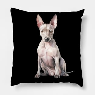 American Hairless Terrier Pillow