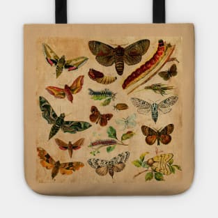 Butterfly Tote