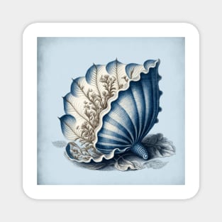 Elegant seashell Magnet