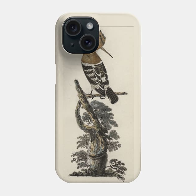 Hoopoe bird Phone Case by High Class Arts