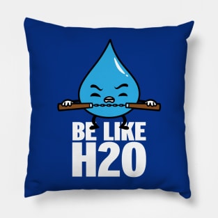 Funny Cute Kawaii Martial Arts Be like Water Retro Quote Meme Pillow