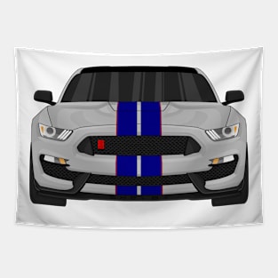 GT350R SILVER Tapestry