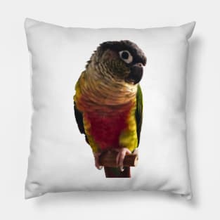 Green Cheek Conure Parrot Bird design, Love for birds Pillow