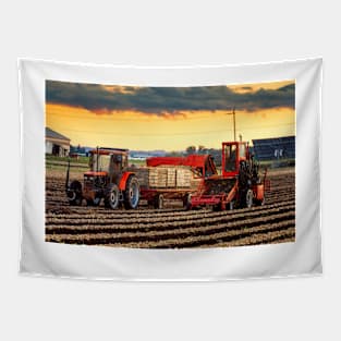 Fall Harvest Onion Crops Tapestry