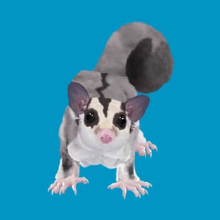 Sugar Glider T-Shirt