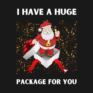 I Have A Huge Package For You T-Shirt