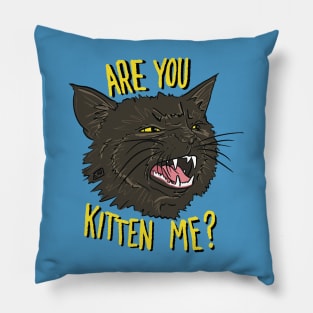 Are You Kitten Me - Black Cat Pillow