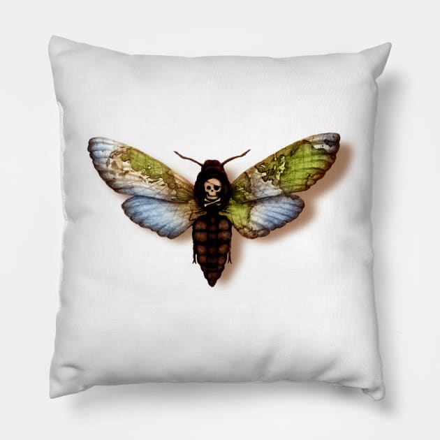 Acherontia Piratus Pillow by Vinsse