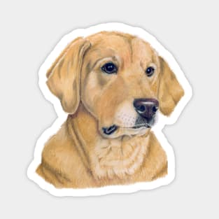 Labrador retriever - Yellow P Magnet