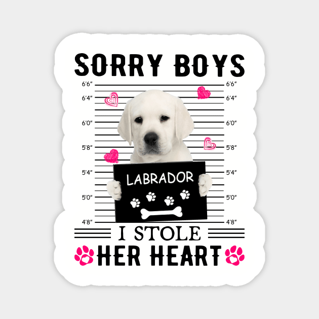 White Labrador Sorry Boys I Stole Her Heart Valentine Magnet by PlumleelaurineArt