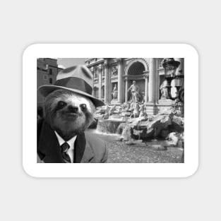 Sloth in Rome in front of Trevi Fountain - Print / Home Decor / Wall Art / Poster / Gift / Birthday / Sloth Lover Gift / Animal print Canvas Print Magnet