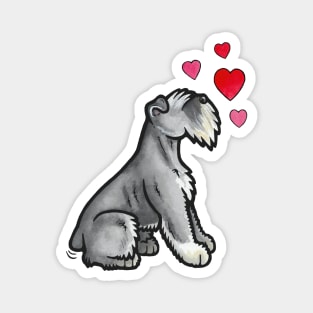 Miniature Schnauzer love Magnet