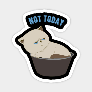 Lazy Cat Nope not Today funny sarcastic messages sayings and quotes Magnet