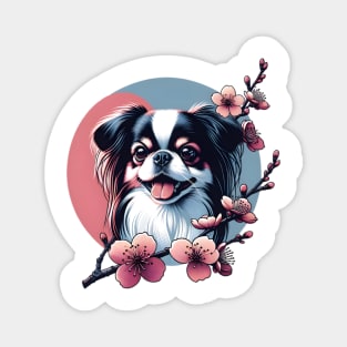 Japanese Chin with Spring Cherry Blossoms Joyful Expression Magnet