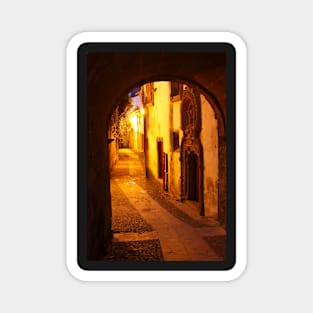 Arco de Almedina, old town, Coimbra, Portugal, city, evening, dusk Magnet