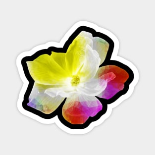 Yellow Red Purple Abstract Flower Magnet