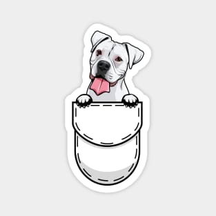 Funny Boxer Pocket Dog Magnet