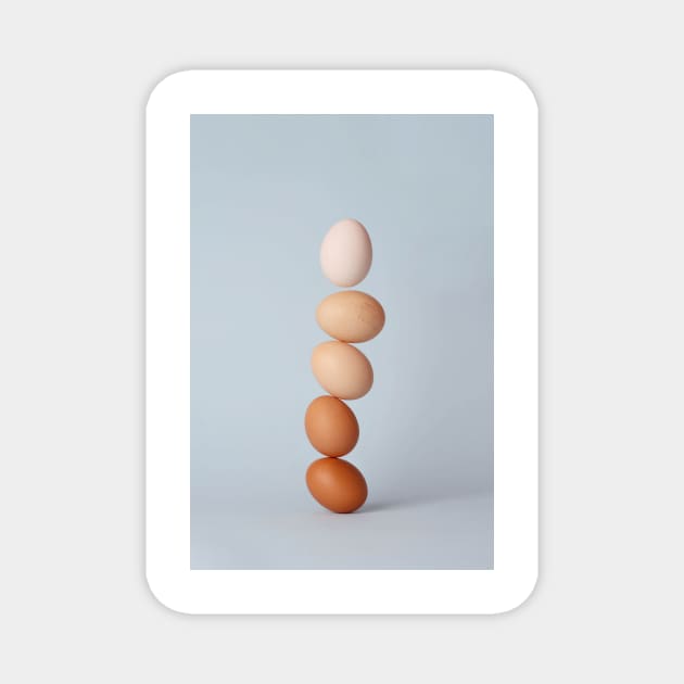 Eggs Magnet by standardprints