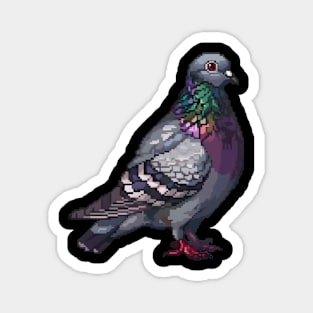 16-Bit Pigeon Magnet