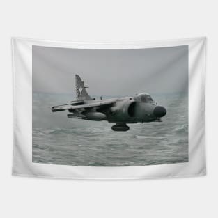 Sea Skimming Sea Harrier Tapestry