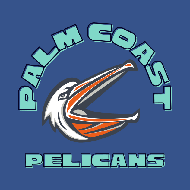 Palm coast pelicans by Benjamin Customs