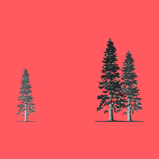 Douglas Fir Trees by user0415