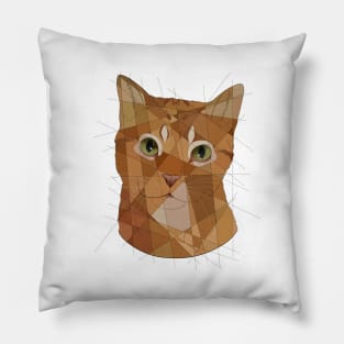 Orange Tabby Pillow