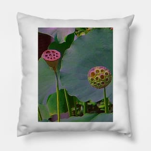 Alchemia, Lotus Seed heads (Just the Two of Us) Pillow