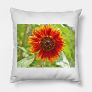 Firecracker Flower Pillow