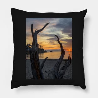 Driftwood Sunset Pillow