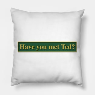 Have you met Ted? - How I met your mother Pillow