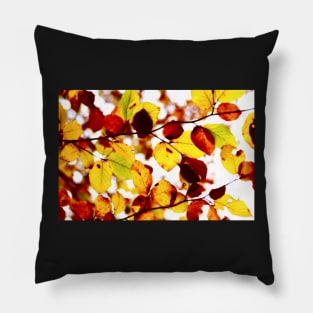 Autumn Beech Leaves Pillow