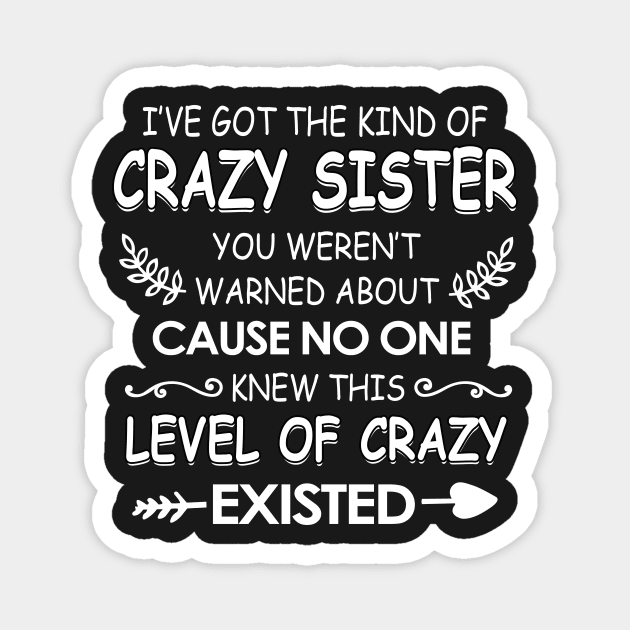 I've got The kind of crazy sister you weren't cause no one knew Magnet by TEEPHILIC