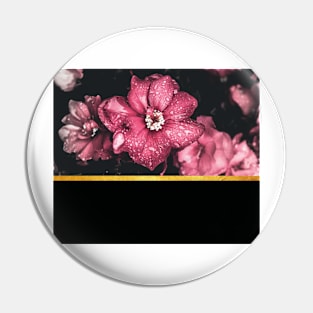 Pink flowers Pin