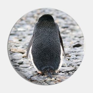 PENGUIN WITH ITS BACK TURNED Pin