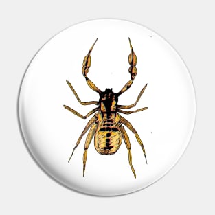 Pseudoscorpion 1 Pin