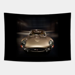 1961 Jaguar E-Type Series 1 Coupe Tapestry