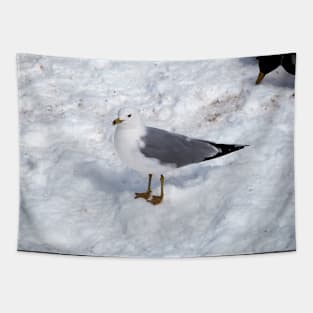 Gull Standing On The Winter Snow Tapestry