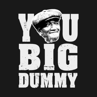 FUNNY YOU BIG DUMMY T-Shirt